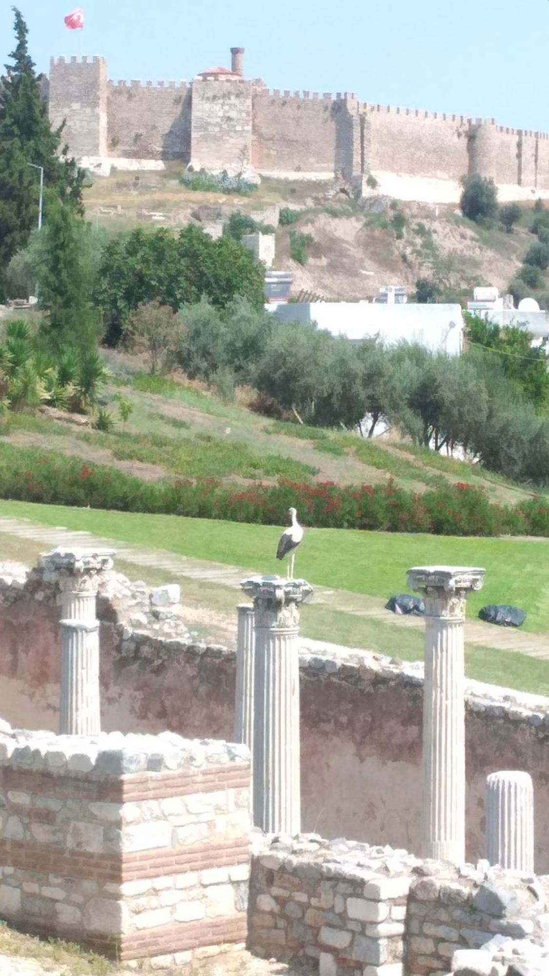 Ephesus Selcuk Castle View Suites Exteriör bild