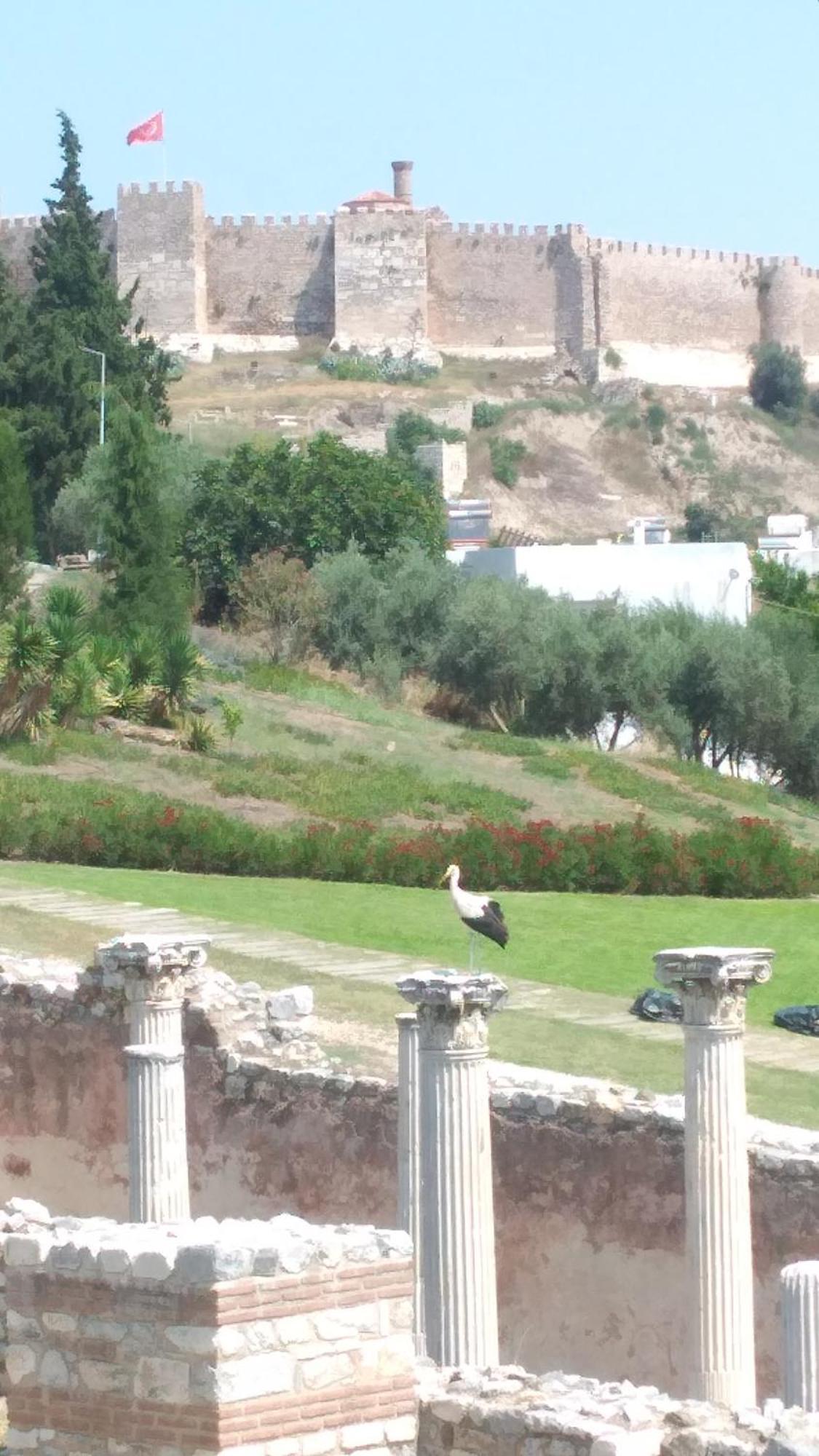 Ephesus Selcuk Castle View Suites Exteriör bild